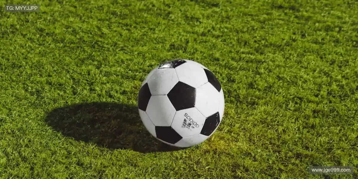 热爱不止,运动不息,尽在这里!❤️🏃♂️